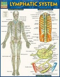 Enlarge image Cover: Lymphatic System - Barcharts, Inc