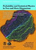 Cover: Probability and Statistical Physics in Two and More Dimensions - American Mathematical Society
