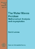 Cover: The Water Waves Problem - American Mathematical Society