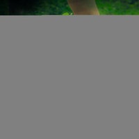 Enlarge image Cover: Wanted - Tantor Media, Inc