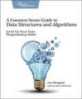 Cover: Common-Sense Guide to Data Structures and Algorithms, A - Pragmatic Bookshelf
