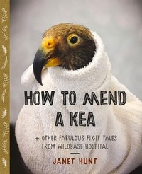 Enlarge image Cover: How to Mend a Kea - Massey University Press