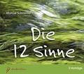 Cover: Die 12 Sinne - Sentovision