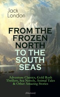 Cover: FROM THE FROZEN NORTH TO THE SOUTH SEAS - Adventure Classics (Illustrated) - e-artnow