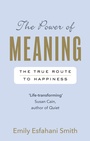 Cover: The Power of Meaning - Rider & Co