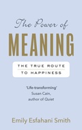 Cover: The Power of Meaning - Rider & Co