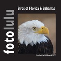 Cover: Birds of Florida & Bahamas - BoD - Books on Demand