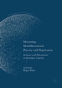 Cover: Measuring Multidimensional Poverty and Deprivation - Palgrave Macmillan