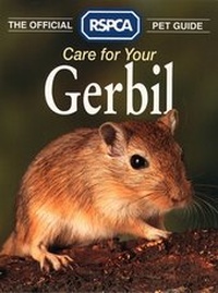 Abbildung von: Care for your Gerbil - Collins