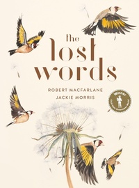 Enlarge image Cover: The Lost Words - Hamish Hamilton Ltd