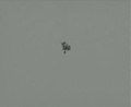 Cover: And Again - Harvard Forest