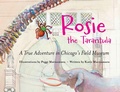 Cover: Rosie the Tarantula - Northwestern University Press