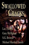 Cover: Swallowed By The Cracks - Dark Arts Books
