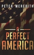 Cover: A Perfect America - Peter Meredith