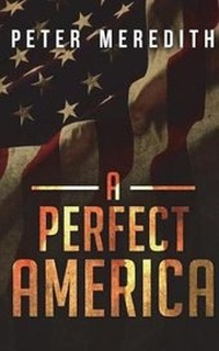 Enlarge image Cover: A Perfect America - Peter Meredith