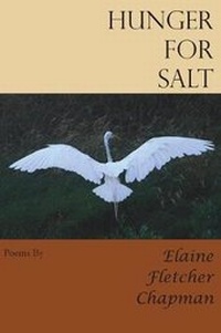 Enlarge image Cover: Hunger for Salt - Saint Julian Press, Inc.