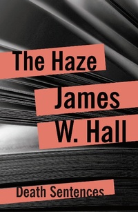 Enlarge image Cover: The Haze - Head of Zeus