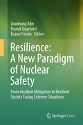 Cover: Resilience: A New Paradigm of Nuclear Safety - Springer