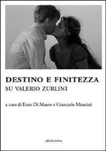 Cover: Destino e finitezza. Su Valerio Zurlini - Storia, storie;Affinit&agrave; Elettive Edizioni