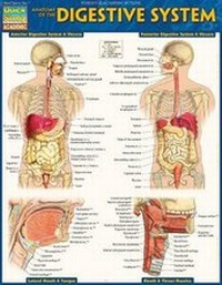 Enlarge image Cover: Anatomy of the Digestive System - Quickstudy Reference Guides