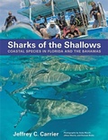 Cover: Sharks of the Shallows - Johns Hopkins University Press