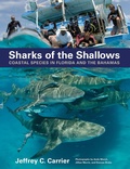 Cover: Sharks of the Shallows - Johns Hopkins University Press