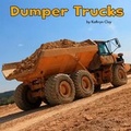 Cover: Dumper Trucks - Raintree