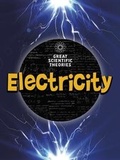 Cover: Electricity - Raintree