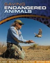 Enlarge image Cover: Saving Endangered Animals - Raintree