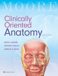 Abbildung von: Clinically Oriented Anatomy - LWW