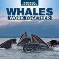 Cover: Whales Work Together - PowerKids Press