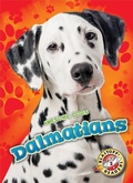 Cover: Dalmatians - Blastoff! Readers