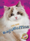 Cover: RagaMuffins - Blastoff! Readers