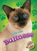 Cover: Balinese - Blastoff! Readers