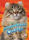 Cover: American Curls - Blastoff! Readers