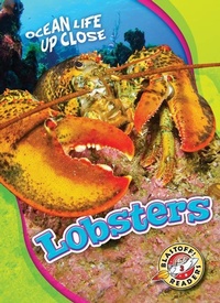 Enlarge image Cover: Lobsters - Blastoff! Readers