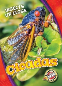 Enlarge image Cover: Cicadas - Blastoff! Readers