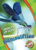 Cover: Damselflies - Blastoff! Readers