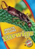 Cover: Earwigs - Blastoff! Readers