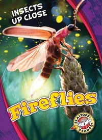 Enlarge image Cover: Fireflies - Blastoff! Readers