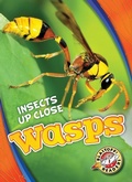 Cover: Wasps - Blastoff! Readers