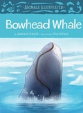 Cover: Animals Illustrated: Bowhead Whale - Inhabit Media Inc