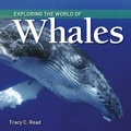 Cover: Exploring the World of Whales - Firefly Books Ltd