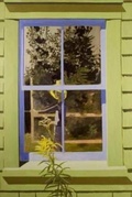 Cover: Lois Dodd - Lund Humphries Publishers Ltd