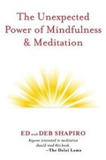 Cover: The Unexpected Power of Mindfulness & Meditation - Waterfront Digital Press