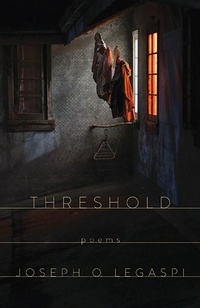 Enlarge image Cover: Threshold - CavanKerry Press