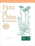 Cover: Flora of China Illustrations, Volume 20-21 - Asteraceae - Missouri Botanical Garden Press