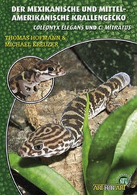Abbildung von: Der Mexikanische und Mittelamerikanische Krallengecko - Natur und Tier