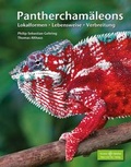 Cover: Panthercham&auml;leons - Natur und Tier