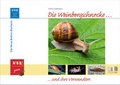 Cover: Die Weinbergschnecke und ihre Verwandten - Militzke Verlag GmbH